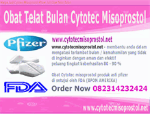 Tablet Screenshot of cytotecmisoprostol.net